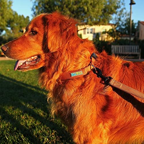 Bluepaw-7 Classic Colors Comfort Premium Nylon Dog ovratnik Jednostavan uzorak čišćenja čvrste boje za šetnju psima za trening