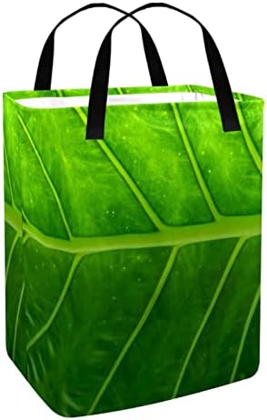 Tekstura zelenog lista s apstraktnim tiskom sklopiva košara za rublje 60 litara vodootporne košare za rublje košara za pranje odjeće