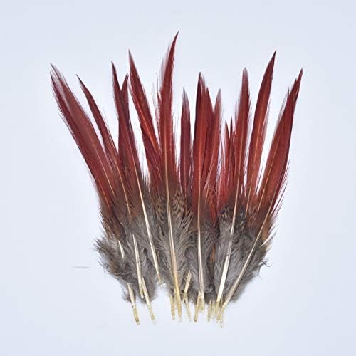 Rijetka pera fazana 5 ~ 25cm / 2-10 prirodna pera za kosu za odjeću ukras od pera izbor karnevalski vrh pera-74017