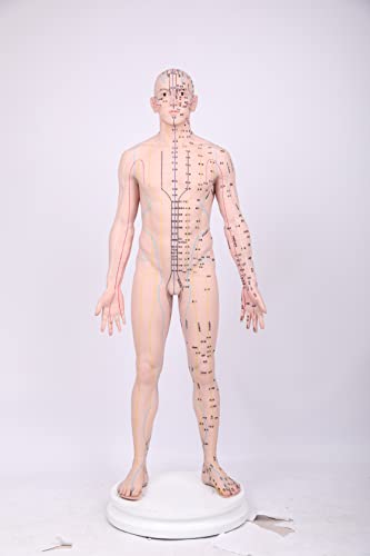 Ljudski akupunkturni model LINGZHANG Potpuno silikonska praksa akupunkturnog treninga maneken maneken