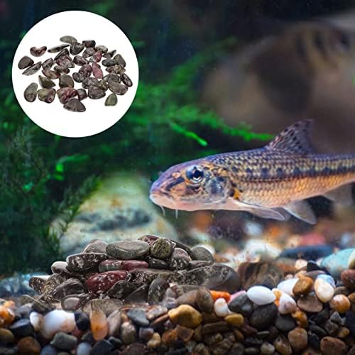 Doitool ribe ukrasi SPA dekor 6pcs Dragon Bloodstone Aquarium šljunak kristalna krv palca briga masaža ukrasna šljunak za pozitivnu
