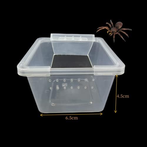 10 kom akrilnih terarija za uzgoj insekata, gmazova i pauka, spremnik za inkubaciju male veličine