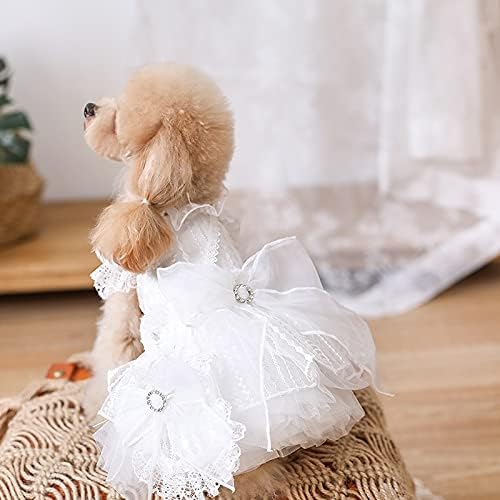 Nova luksuzna vjenčanica za pse i mačke, tutu s čipkom i mašnom, dizajn velike suknje, haljine za princeze za kućne ljubimce, odjeća