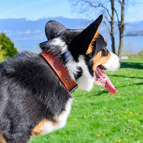 Faїna bingo - kožni ovratnik za pse | Ručno izrađena reljefna prave kože