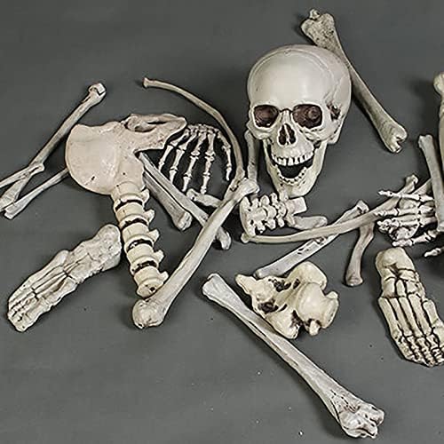 TopUp 28 komada ukrasi za Halloween Skeleton Cjell Body Halloween Skeleton s pokretnim zglobovima za najbolje ukrase za zabavu za Halloween