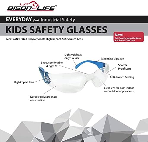 Bison Life Kids Zaštitne naočale | Z87.1 Clean leća otporna na udarce, hram u boji, raznolikost boja veličine djece