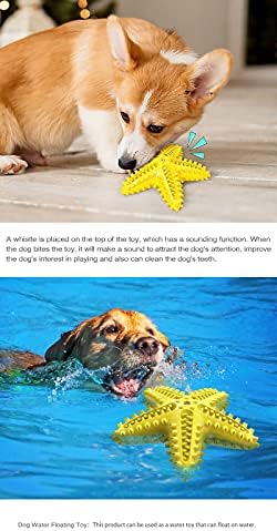 Kućni ljubimci zvjezdane ribe ljetne pseće igračke za pseće četkice za zube plutajući na vodenom zvuku