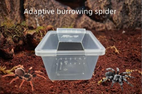 5 kom akrilnih prozirnih terarija za insekte, gmazove i pauke, kutija za uzgoj, spremnik za inkubaciju velike veličine