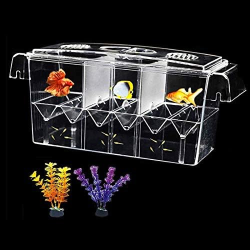 Kutija za uzgoj ribe, kutija za uzgoj akvarijskih riba, izolacija inkubatora za bebe ribe s umjetnom biljkom