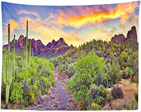 Tkanina od 10 98 Stopa Nacionalni Park Arizona pustinjska pozadina Zalazak sunca nebo planinski krajolik zelene biljke kaktus Saguaro