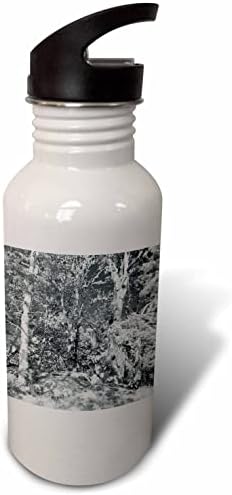 3Drose crno -bijeli hrastov šum sa sportskim svjetlom - boce s vodom